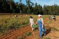 Zu Tisch ... – Landwirtin Claudia Dollinger (re.) mit Tochter Marlene (li.) bei der Kartoffelernte