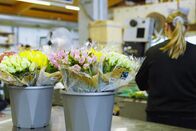 Impact – Impact Umweltsünder Blumen – Darf man jetzt nicht mal mehr Blumensträusse kaufen? Blumensträusse in Eimern Copyright: SRF