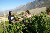 Zu Tisch ... – Orieta und Dhurata Daupaj im Gemüsegarten.
