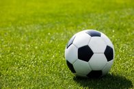 Fußball: Testspiel – Fußball: Testspiel