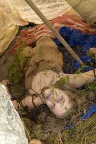 Long Weekend – Als Peter in der Wildnis Leichen anderer Camper findet, versucht er sofort mit Carla abzureisen. Doch Mutter Natur hat ganz andere Pläne mit dem Pärchen ...