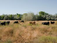 Das Geheimnis der Skinwalker Ranch – Die Aussicht auf Skinwalker-Ranch