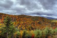 Smoky Mountains Ranger – Great Smoky Mountains National Park - Der Herbst ist vielleicht die schönste Jahreszeit im Great Smoky Mountains National Park.