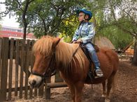 Ich bin Ich – Der fünfjährige Jakob darf auf dem Ponyhof zum ersten Mal traben.