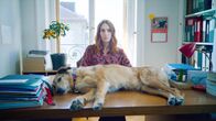 Hundschuldig – Die idealistische Anwältin Avril (Lætitia Dosch) soll den Hund Cosmos verteidigen, der bereits drei Menschen gebissen hat.