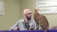 Der Katzenflüsterer – Jackson Galaxy next to Zeus who's sitting on a rail.