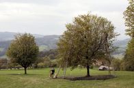 Zu Tisch ... – Jede Elsbeere muss nach der Ernte noch von den Rispen gezupft werden – eine Arbeit, die bis tief in den Winter hinein dauert.