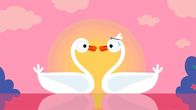 Animanimals – Der Schwan und die Schwänin schauen sich in die Augen.