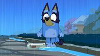 Bluey – Mo, 25.11., 18:00 Uhr