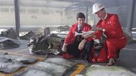 Mayday - Alarm im Cockpit – Investigators are reviewing the evidence