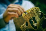 Hexenjagd - Mystisches Tirol – Investigating a skull.