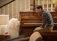 B Positive – Drew Dunbar (Thomas Middleditch)