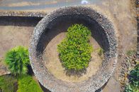 Leben mit Vulkanen – Die typischen Giardini Panteschi – kreisförmige Türme aus Lavagestein – sollen die Obstbäume in ihrem Inneren vor den starken Meereswinden schützen.