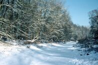 Magische Weihnachten – Winterlandschaft in Drösing.