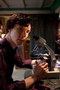 Sherlock – Sherlock Holmes (Benedict Cumberbatch)