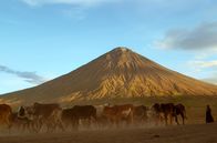 Leben mit Vulkanen – Im Norden Tansanias am Natronsee erhebt sich majestätisch der knapp 3.000 Meter hohe Ol Doinyo Lengai. Seine vulkanische Aktivität ist eine Folge des Großen Afrikanischen Grabenbruchs.