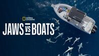 Hai vs. Boot – Fr, 26.12., 03:25 Uhr