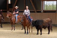 Judith Rakers: Abenteuer Pferd – Judith Rakers: Abenteuer Pferd (2018)