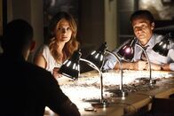 Castle – Kevin Ryan (Seamus Dever, r.) und Javier Esposito (Jon Huertas, l.) lassen Kate Beckett (Stana Katic, M.) bei der Suche nach dem Mörder ihrer Mutter nicht allein! Ihnen ist außerdem klar, dass sie sich selbst in großer Gefahr befindet ...