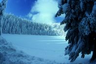 Der Schwarzwald – Verschneite Lichtung im Schwarzwald
