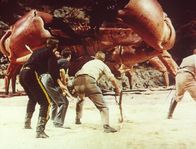 Die geheimnisvolle Insel – Auf der geheimnisvollen Insel werden die gestrandeten Ballonfahrer von einer Riesenkrabbe begrüßt ...
