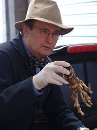 Navy CIS – Ducky (David McCallum) untersucht ein Skelett, dass im Truck des Petty Officer Dobbs gefunden wurde ...