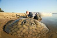 Fluss-Monster – Sa, 26.03., 04:45 Uhr