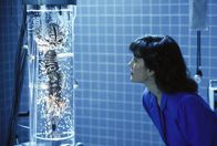 RoboCop 2 – Die skrupellose Wissenschaftlerin Dr. Juliette Faxx (Belinda Bauer) will schließlich aus dem Nuke-Dealer Cain (Tom Noonan), von dem nach einem Zusammentreffen mit RoboCop allerdings nur sein Gehirn intakt geblieben ist, Robocop 2.0 erschaffen.