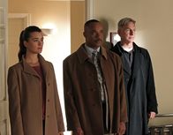 Navy CIS – Ein neuer Fall beschäftigt Gibbs (Mark Harmon, r.), Ziva (Cote de Pablo, l.) und Vance (Rocky Carroll, M.) ...