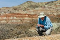 Einstein – Blick auf eine karge und hügelige Landschaft: Forscher Philip Gingerich sucht den Boden ab.