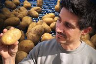 Einstein – Einstein Warum der Klimawandel unsere Kartoffel bedroht Tobias Müller steht in einer Kartoffelproduktionsstätte und hält eine Kartoffel in der Hand. Copyright: SRF