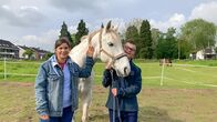 Anna und die Haustiere – Ein Tag bei Jaycen und seinen Pferden 2