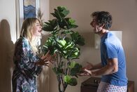 Palm Springs – Palm Springs (2020)