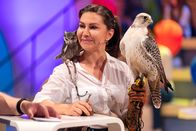 1, 2 oder 3 – Falknerin Vanessa Müller erzählt heute aus ihrem Beruf mit den verschiedenen Vögeln.
