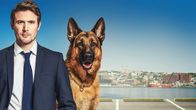 Hudson & Rex – Fr, 22.05., 13:55 Uhr