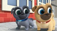 Welpen Freunde – L-R: Bingo (voiced by Issac Ryan Brown), Rolly (voiced by Sam Lavagnino)