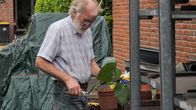 Lamarck – Fest verwurzelt mit der familienbetriebenen Gärtnerei: Der Vater der Filmemacherin Marian Mayland.
