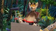King Julien – Fr, 04.11., 06:05 Uhr