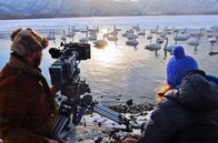 Wildes Japan - Land der tausend Inseln – Toby Strong und Sara Douglas filmen Singschwäne am Kussharo-See in Hokkaido