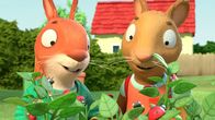 Pip und Posy – Jamila und Posy haben das geheime Versteck der Marienkäfer gefunden- ein Paradies für Pünktchen Käferchen.
