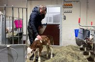 Re: – Traumberuf Landwirtin: Martina Hopf führt den Familienbetrieb weiter.