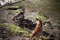 Wrecked – Do, 12.09., 17:10 Uhr