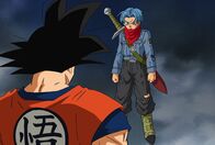Dragon Ball Super – Mi, 16.09., 17:05 Uhr
