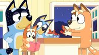 Bluey – L-R: Bandit, Bingo, Bluey, Chilli