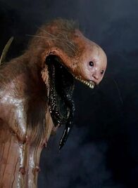 V/H/S/94 – So, 01.11., 04:40 Uhr