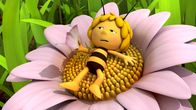 Die Biene Maja – Maja ist erschöpft.
