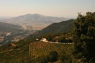 GEO Reportage – Rapsani-Wein gibt es in drei Qualitätsstufen. Aus den höchsten Lagen kommt der beste Wein, der "Grande Reserve".