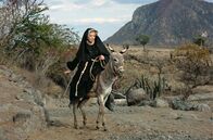 Ein Fressen für die Geier – Dies ist nicht der einzige sture Esel, mit dem Sara (Shirley MacLaine) zu kämpfen hat, wie der englische Filmtitel „Two Mules for Sister Sara“ nahelegt.