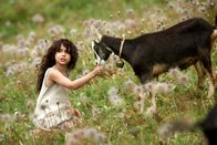 Heidi – Heidi (Anuk Steffen) hat keine Eltern mehr und wird bei ihrem Großvater in den Schweizer Bergen untergebracht.