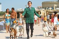 Liebe um jeden Preis – Jean (Gad Elmaleh) führt die Hunde der Hotelgäste aus.